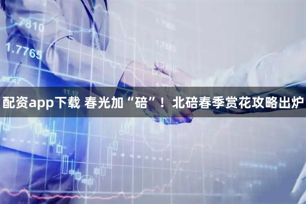 配资app下载 春光加“碚”！北碚春季赏花攻略出炉