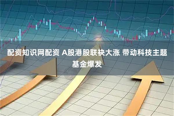 配资知识网配资 A股港股联袂大涨 带动科技主题基金爆发